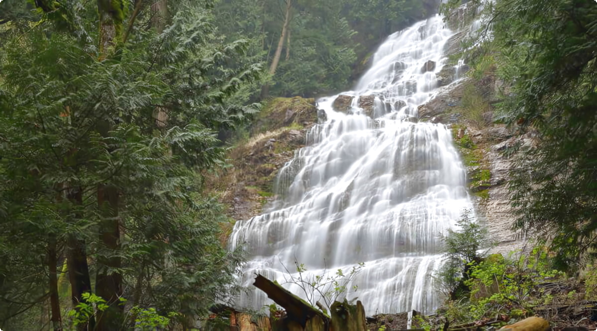 Nosso inventário inclui uma ampla variedade de veículos.